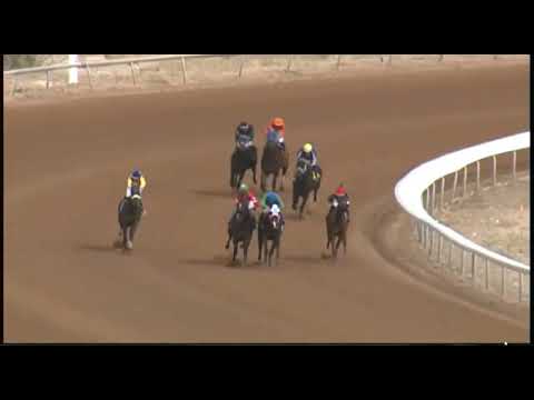 Видео: R5- ЗИЯ ПАРК-США- 18 НОЯБРЯ 2025 ГОДА