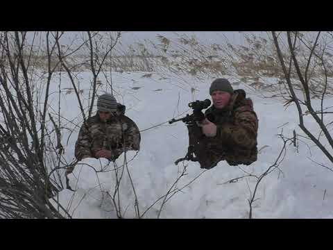 Видео: Закрытие охоты на бобра. Добыт долгожданный хороший трофей.