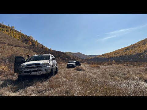 Видео: Найзууд аялал (Намар)