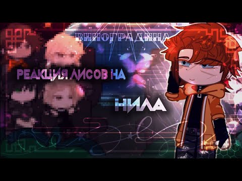 Видео: Реакция «Лисов» на Нила Джостена/1/1 AFTG react to Neil