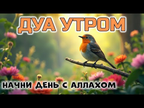 Видео: ДУА УТРОМ — НАЧНИ ДЕНЬ С АЛЛАХОМ 🌅🕋