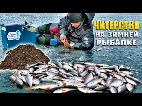 Видео: Прикормка для зимней рыбалки или как обловить соседа?!