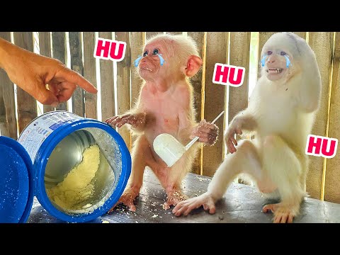 Видео: Неожиданно Луна и НаНа пригласили друг друга сделать это