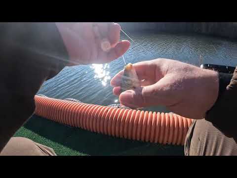 Видео: РЫБАЛКА НА БАЗЕ "ПАМАНЫ" ст.КРАСНЫЙ КОНЬ