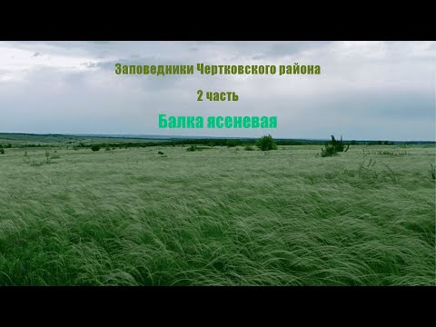 Видео: Балка Ясеневая. Заповедники чертковского района (часть 2)