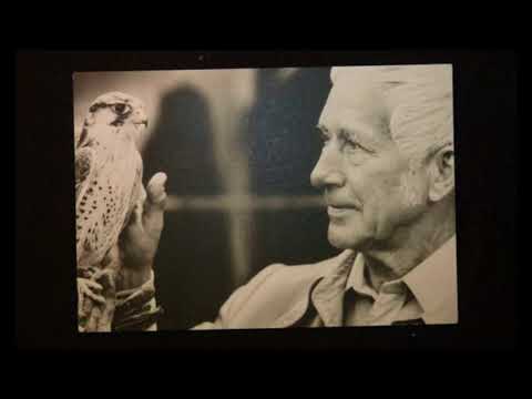 Видео: Подкаст "Новая Нормальность" - Э. Юнгер - "В стальных грозах" и "Стеклянные пчелы" #7