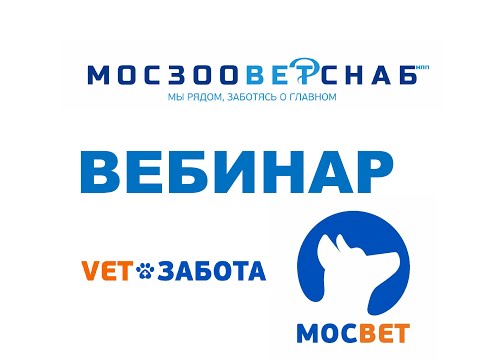 Видео: Меланома