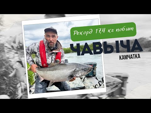 Видео: Чавыча 19 кг! Новый рекорд Камчатки! 🔥