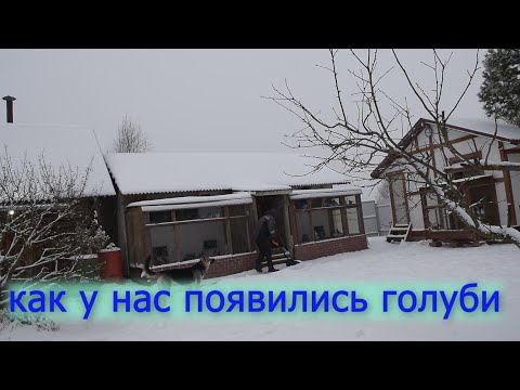 Видео: Начали зимовать. Вспоминаем прошлое.