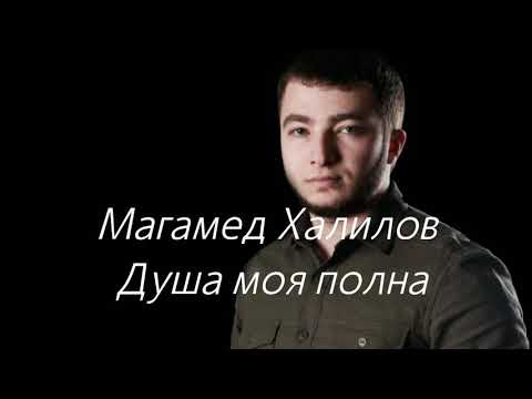 Видео: Магамед Халилов - Душа моя полна. ( сөзі, текст, lyrics)