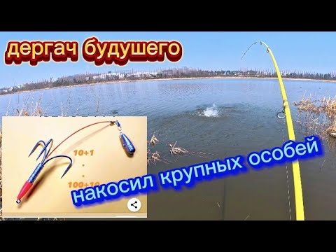 Видео: Спининг трещит от таких рыб. НЕ ДЛЯ СЛАБОНЕРВНЫХ. #рыбалка #fishing #낚시