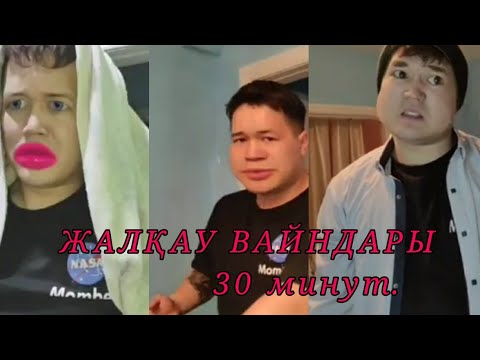 Видео: Жалқау жаңа шыққан вайндар / 30 минут