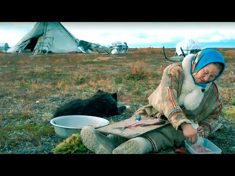Видео: Почему ненцы не едят сырую щуку | Факты