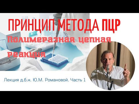 Видео: Принцип метода ПЦР (полимеразная цепная рекация), часть 1 (д.б.н. Ю.М. Романова)