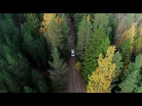 Видео: Последняя осень – ДДТ. (Cover)