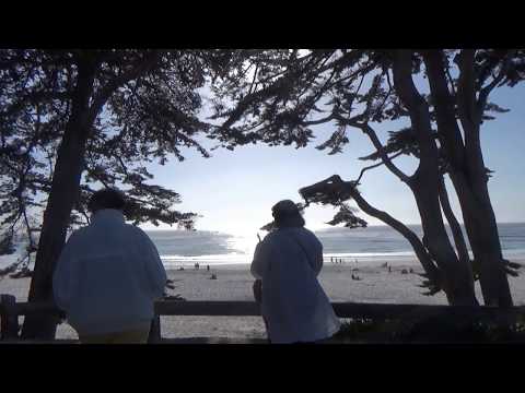 Видео: США 5168. Красивейшие места Планеты - Scenic Drive, Carmel-by-the-sea, Калифорния-океан, пляжи, дома