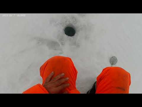 Видео: Зимняя рыбалка на Гилевском водохранилище