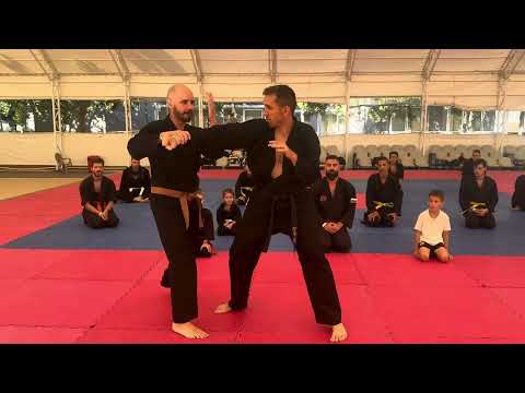 Видео: Контра Атаки на Комбати 1, 2 и 3 🥋 Летен лагер по Бойни Изкуства 2025 – FМА Bulgaria