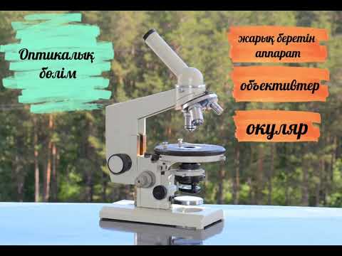 Видео: Микроскоптың құрылысы. Жарық микроскопы