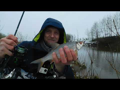 Видео: Pro mормышинг #10/trevel версия Prestige /открытие сезона!