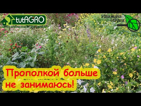 Видео: ПЕРЕСТАЛ ПОЛОТЬ ОГОРОД и ИЗБАВИЛСЯ ОТ СОРНЯКОВ! 2 надежных способа жить без сорняков и без прополки.
