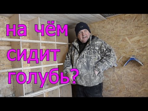 Видео: НАСЕСТЫ,СИДУШКИ для ГОЛУБЕЙ. ЧЕТЫРЕ ВАРИАНТА В МОЁМ ПИТОМНИКЕ. Удобно, практично, рационально.