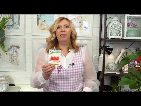 Видео: Сеем томаты на рассаду