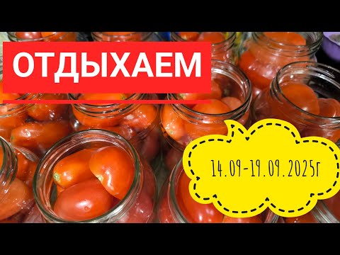 Видео: Бабье лето в Сибири#влог#дача#жизнь 