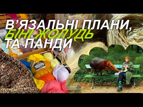 Видео: ☀️🐼Де пропадала? Що маю зараз на спицях? Мої в'язальні плани!🐼☀️