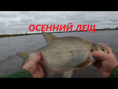 Видео: Вода заливает лодку, а рыба клюёт дуплетом. Рыбалка на леща с лодки.