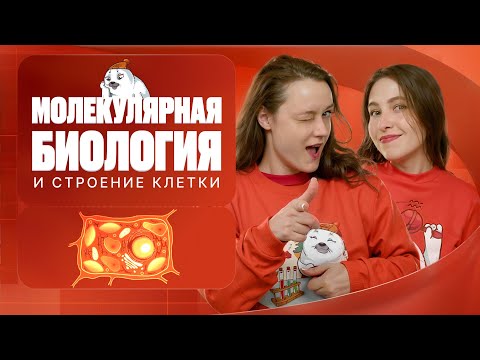 Видео: Молекулярная биология и строение клетки | Вспомнить всё | ЕГЭ-2025 с Биологическим Тюленем