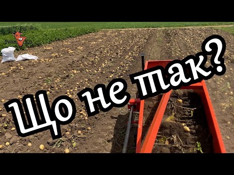 Видео: Що з цією картоплею?! 😵 Поясніть у коментарях! Картопля з нюансом — а от черешня супер! 🍒🥔#ІванКо