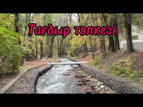 Видео: Женгемнің әлегі.