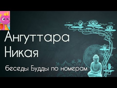 Видео: AN 5 161 162 Как поступать с теми кто не нравится с Олегом