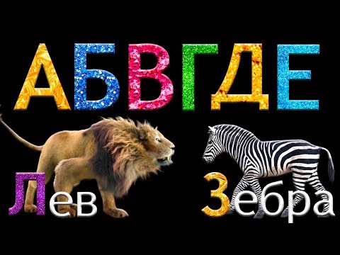 Видео: Алфавит для детей от А до Я! Азбука для малышей! Учим буквы и звуки