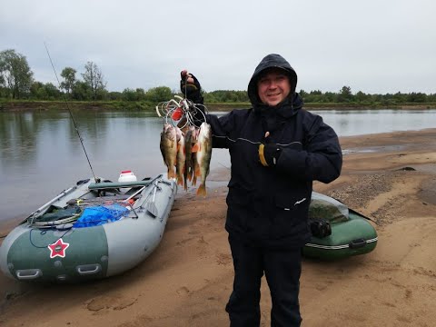 Видео: Сплав по реке Чулым 2022!!!