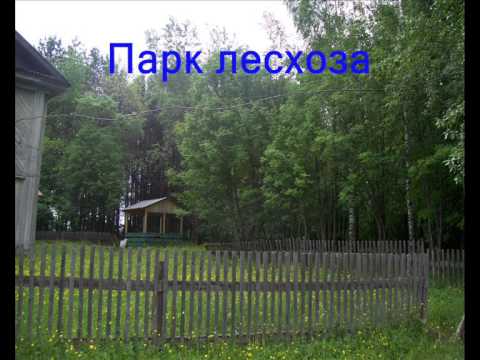 Видео: Страницы истории