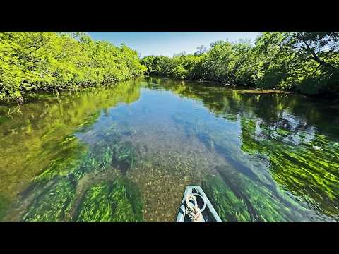 Видео: РАЙ РЫБАКА - КАМЧАТКА. ВОДА КИПИТ ОТ КРАСНОЙ РЫБЫ. Рыбалка. Медведи. Люди