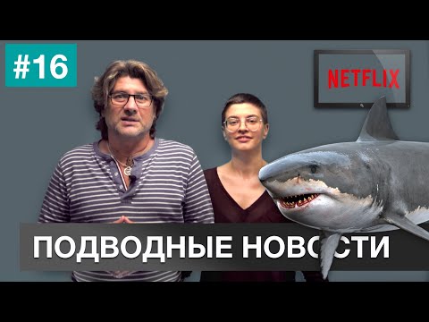 Видео: 🎯  ПОДВОДНЫЕ НОВОСТИ #16. Дайвинг. Фридайвинг. Подводная охота.