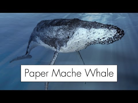 Видео: Изготовление гигантского кита из папье-маше