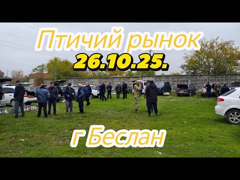 Видео: Голуби цены Птичий рынок г Беслан