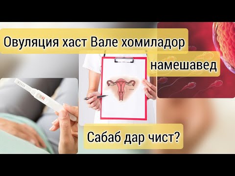 Видео: Почему овуляция происходит, но беременность не наступает? Иммунологическое бесплодие.