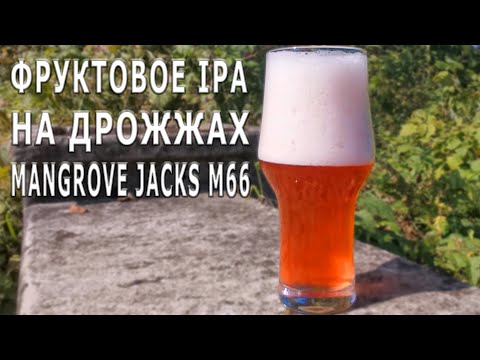Видео: Фруктовое IPA на дрожжах Mangrove Jacks M66