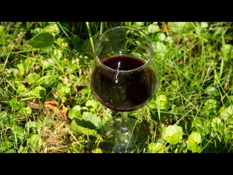 Видео: Пробую вино в процессе приготовления, а оно кислое. Что делать?