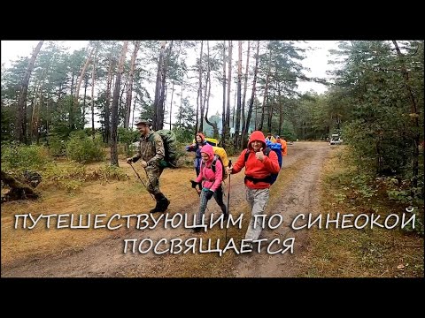 Видео: Путешествующим по Синеокой посвящается