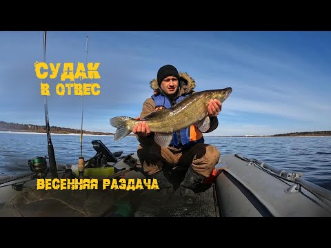 Видео: Судак в отвес, ленивый поиск дал результат! р.Кама