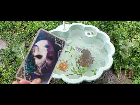 Видео: Чистка от "козла отпущения", давних закольцованых порч и проклятий , кладбищенских порч, нечисти.