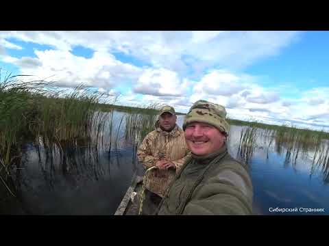 Видео: Охота на утку в Сибири, с чучелами. Налет, за налетом.