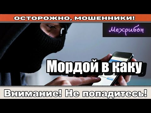 Видео: Мошенники звонят по телефону / Номер доХовора ( сборник ).