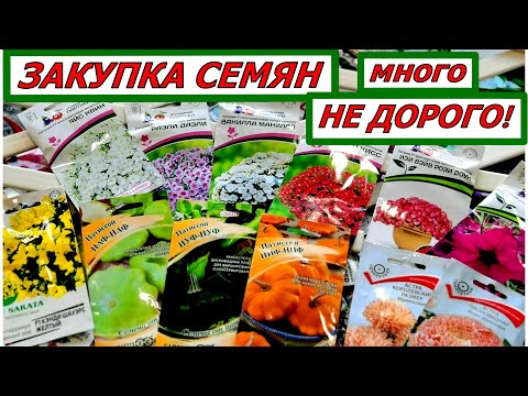 Видео: Закупила семена на весь сезон недорого. Купила решетки на арки. Сайт Семена- Заказ